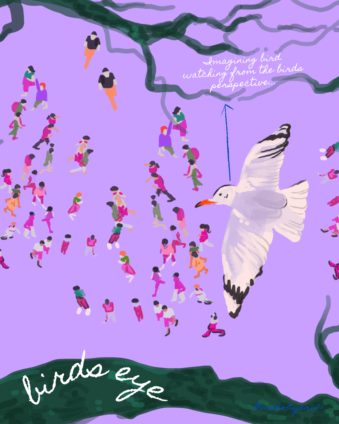 birds eye.png