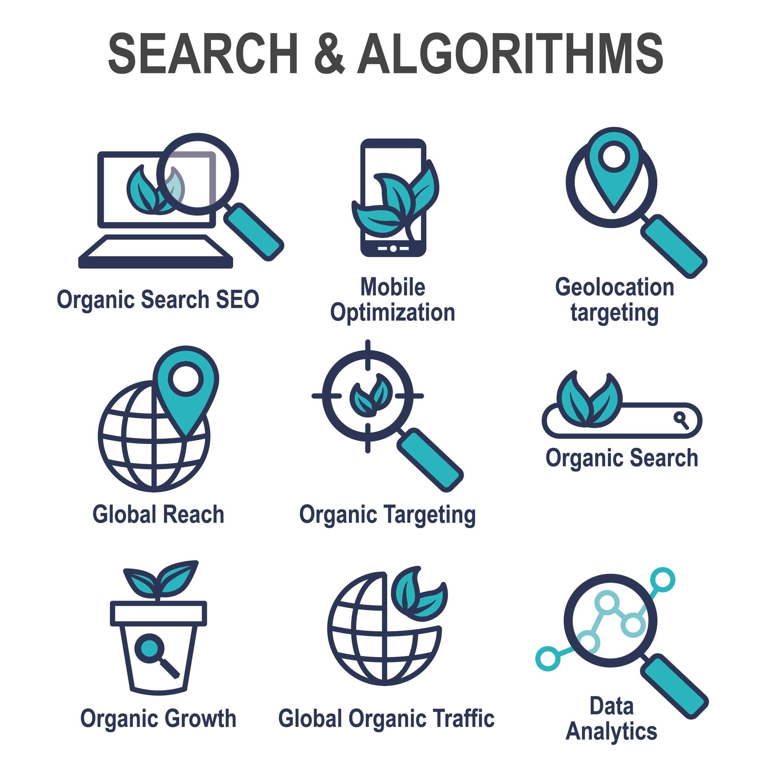 Search and Algorithm