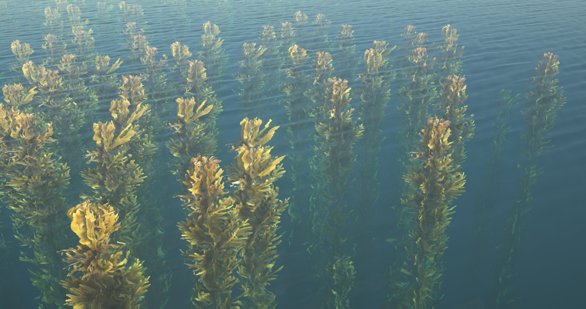 Underwater view of tall green seaweed growing in an ocean or sea, with calm water surface above.