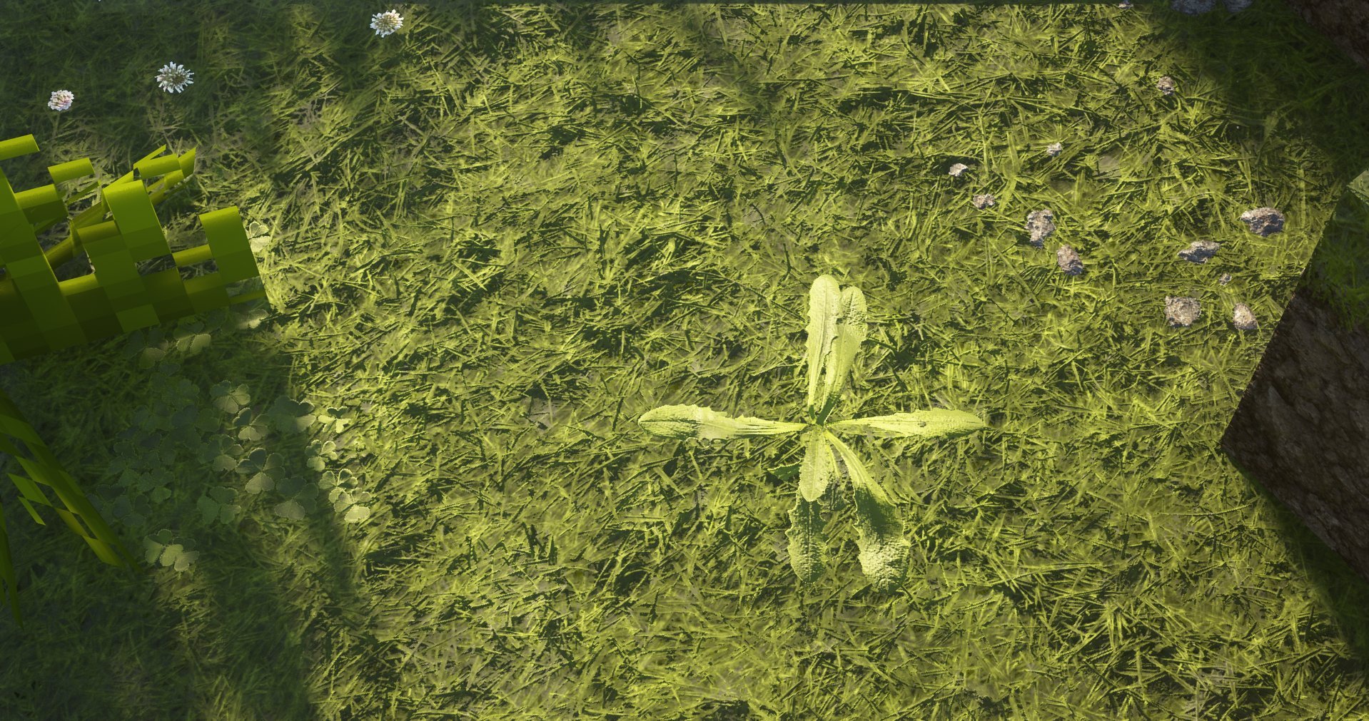 A digital image of a patch of grass with four elongated leaves arranged in a cross shape at the center, surrounded by small stones and pixelated green structures.