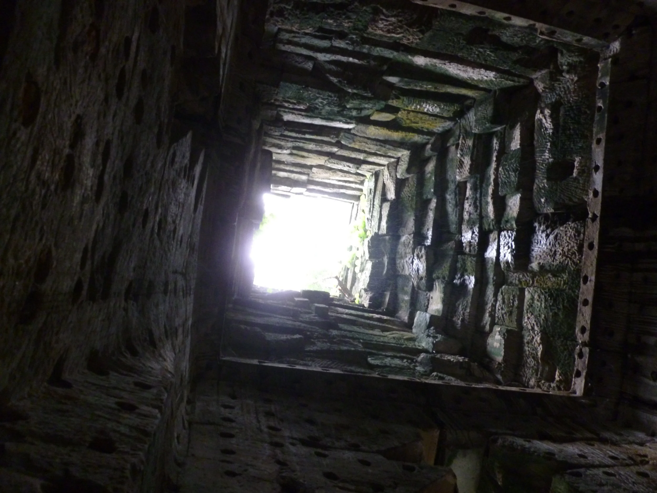 P1000742.JPG