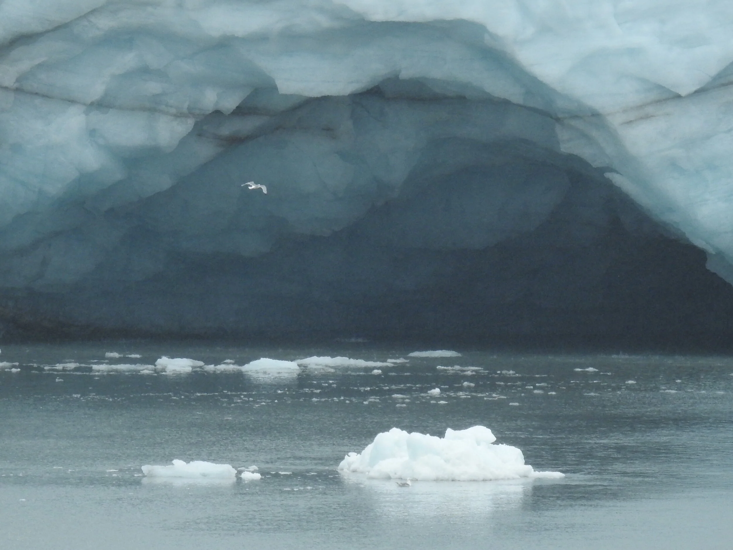Glacier Bay, Alaska