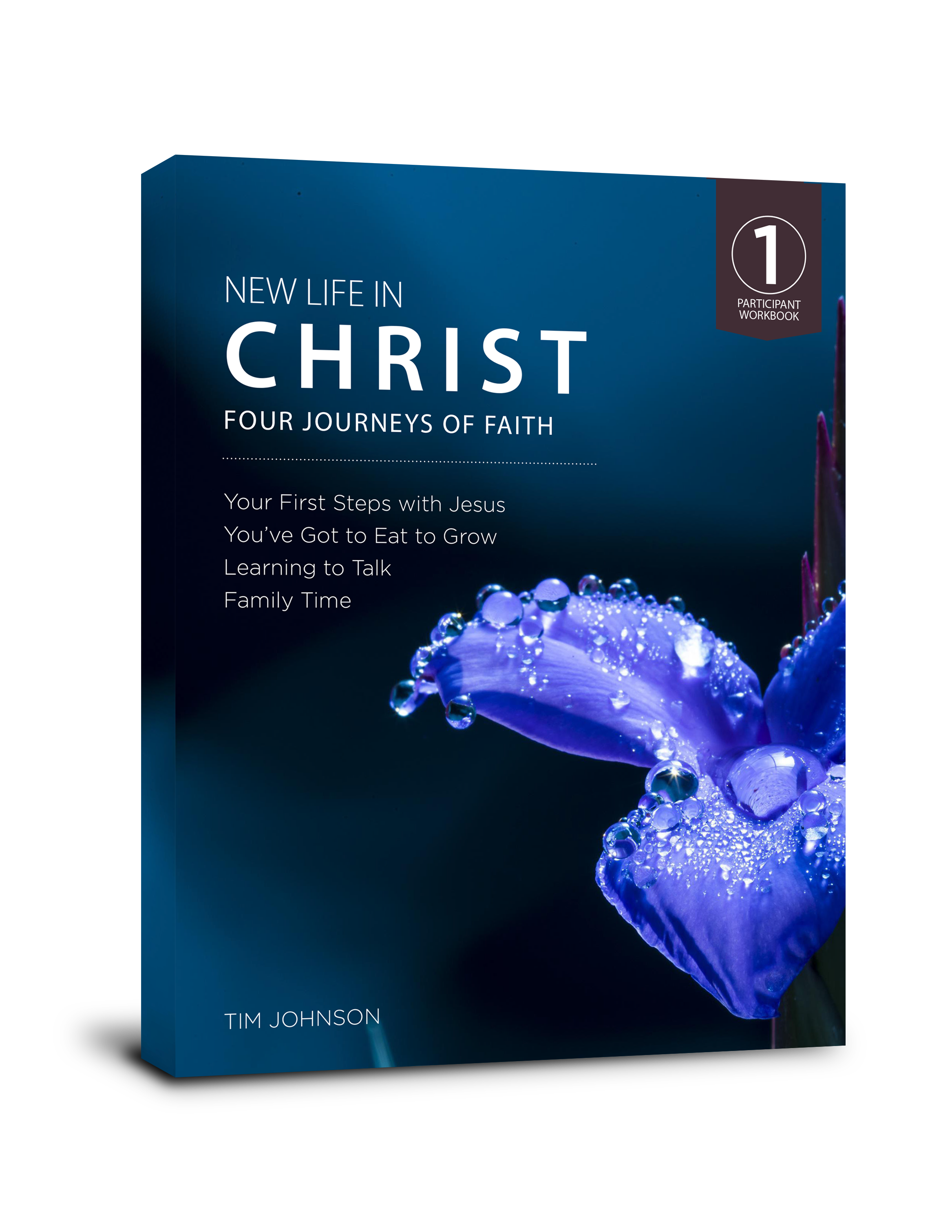 New Life in Christ Book Cover.png