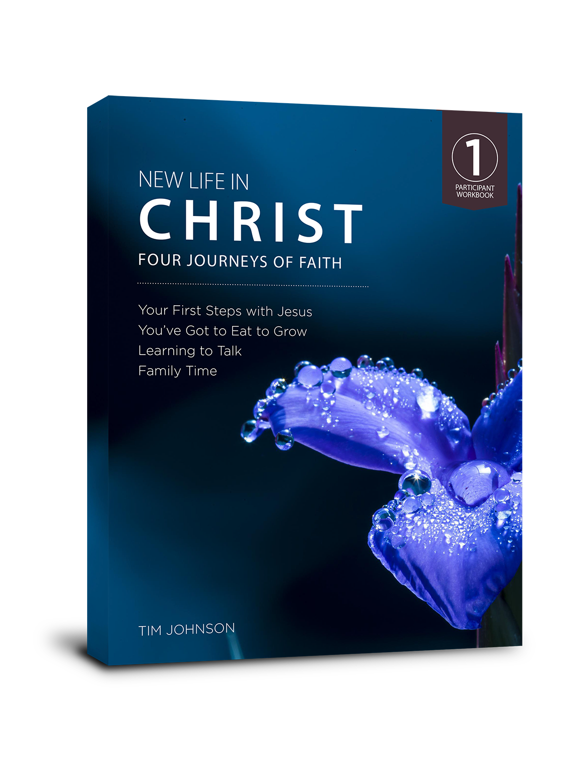 New Life in Christ Book Cover_sm.png