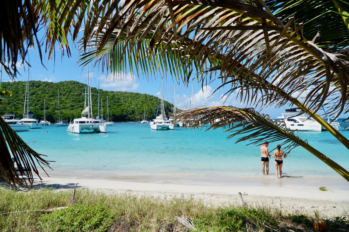 digitaldetoxgrenadines.jpg