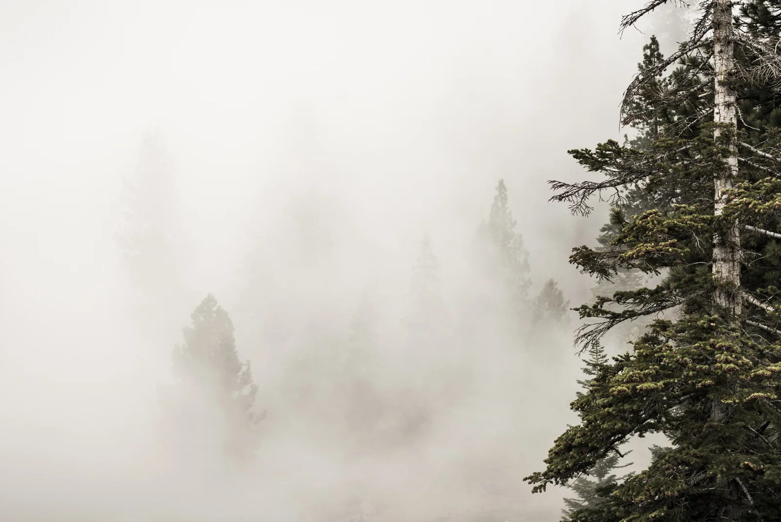 DSC_5789-2.jpg