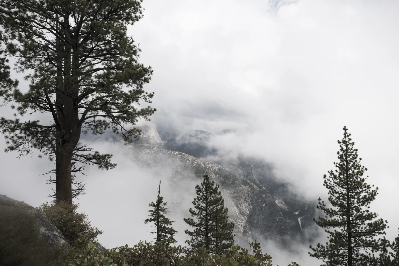 DSC_5892.jpg