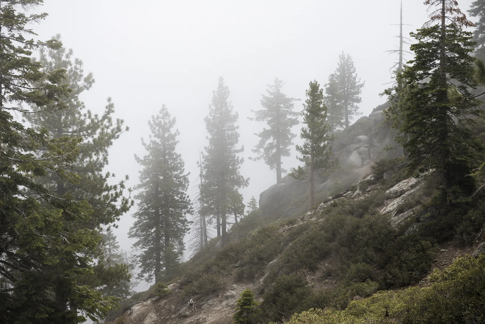 DSC_5917.jpg