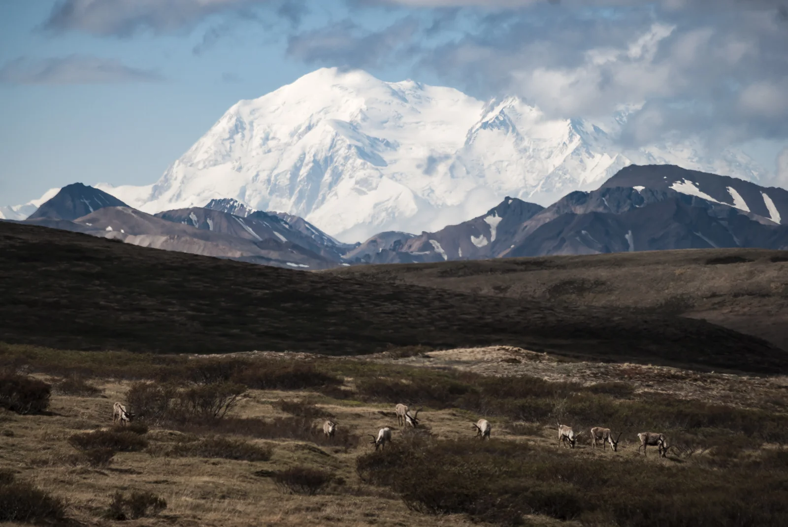 DSC_0189.jpg