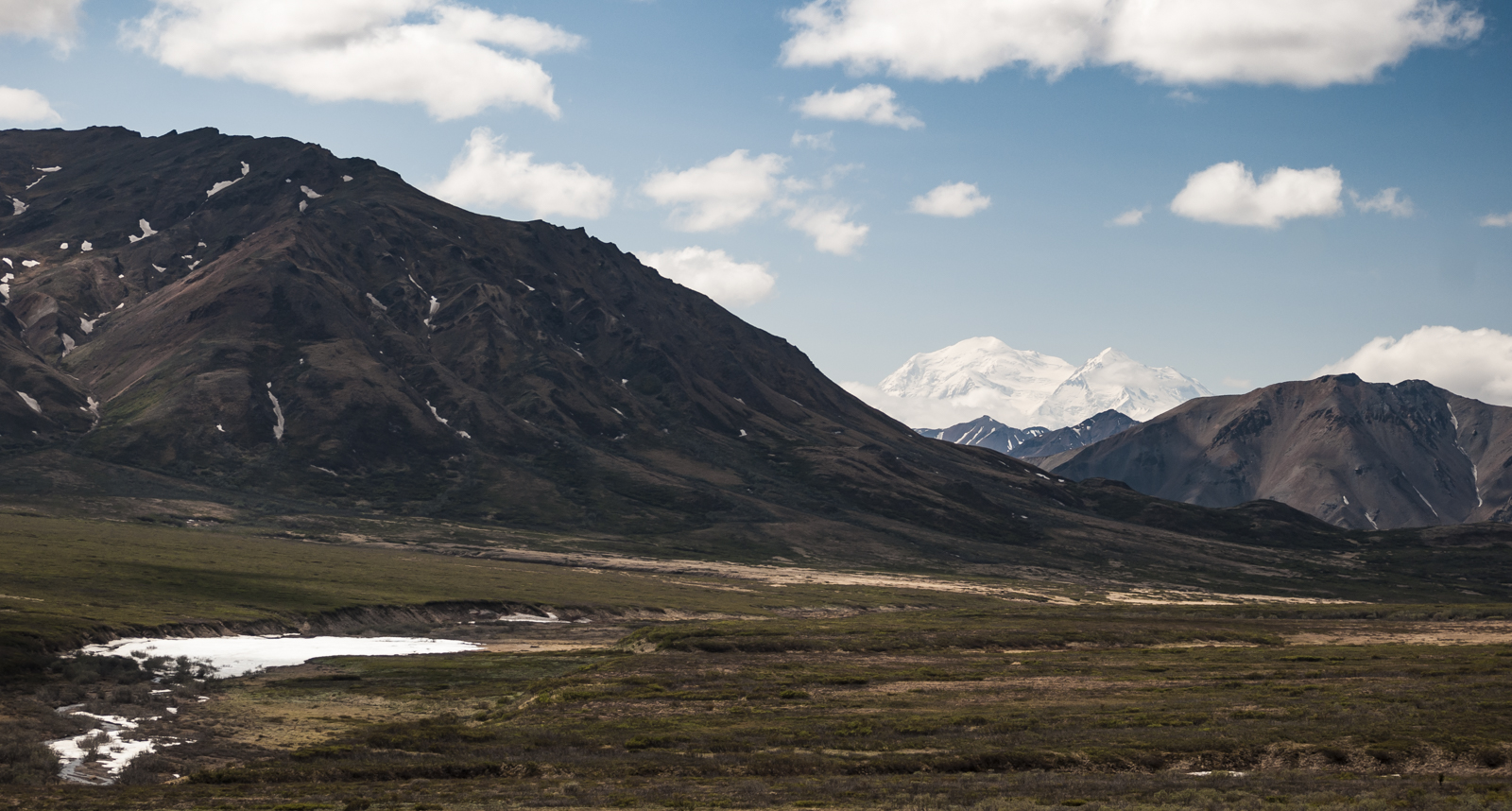 DSC_0394.jpg