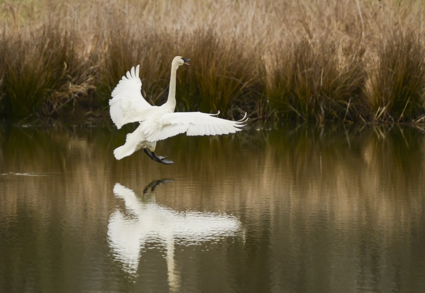 DSC_4588.jpg