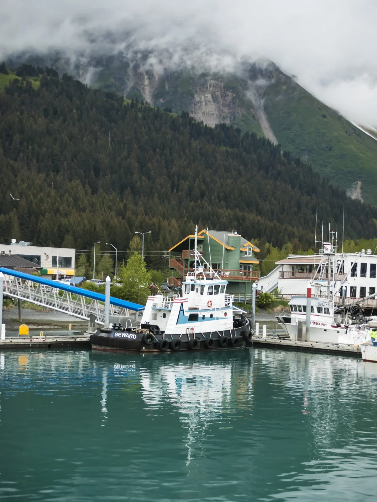 DSC_0651.jpg