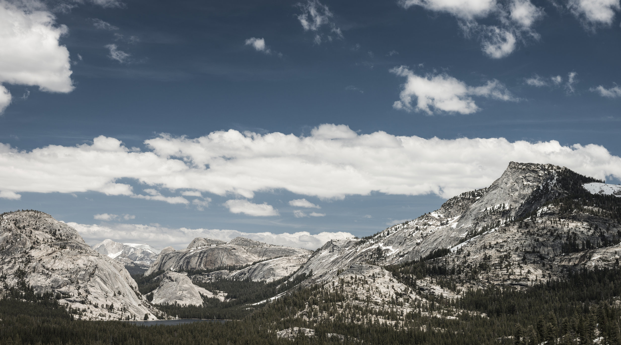 DSC_6525.jpg