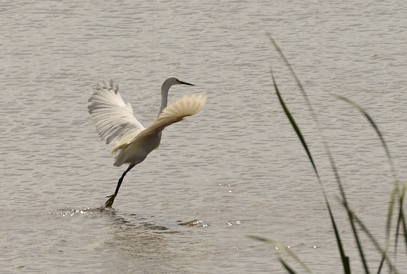 DSC_5833.jpg
