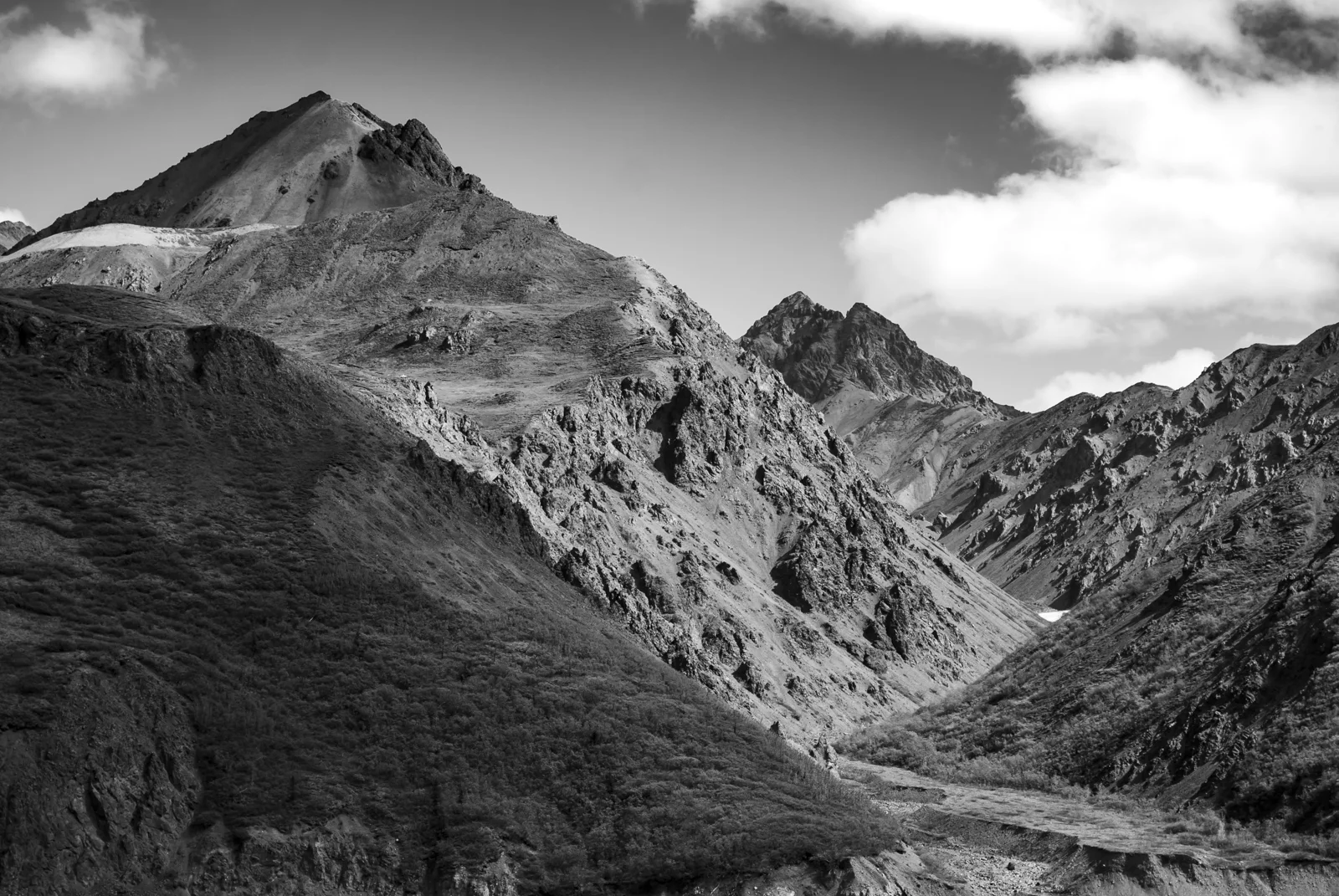 DSC_0290-2.jpg