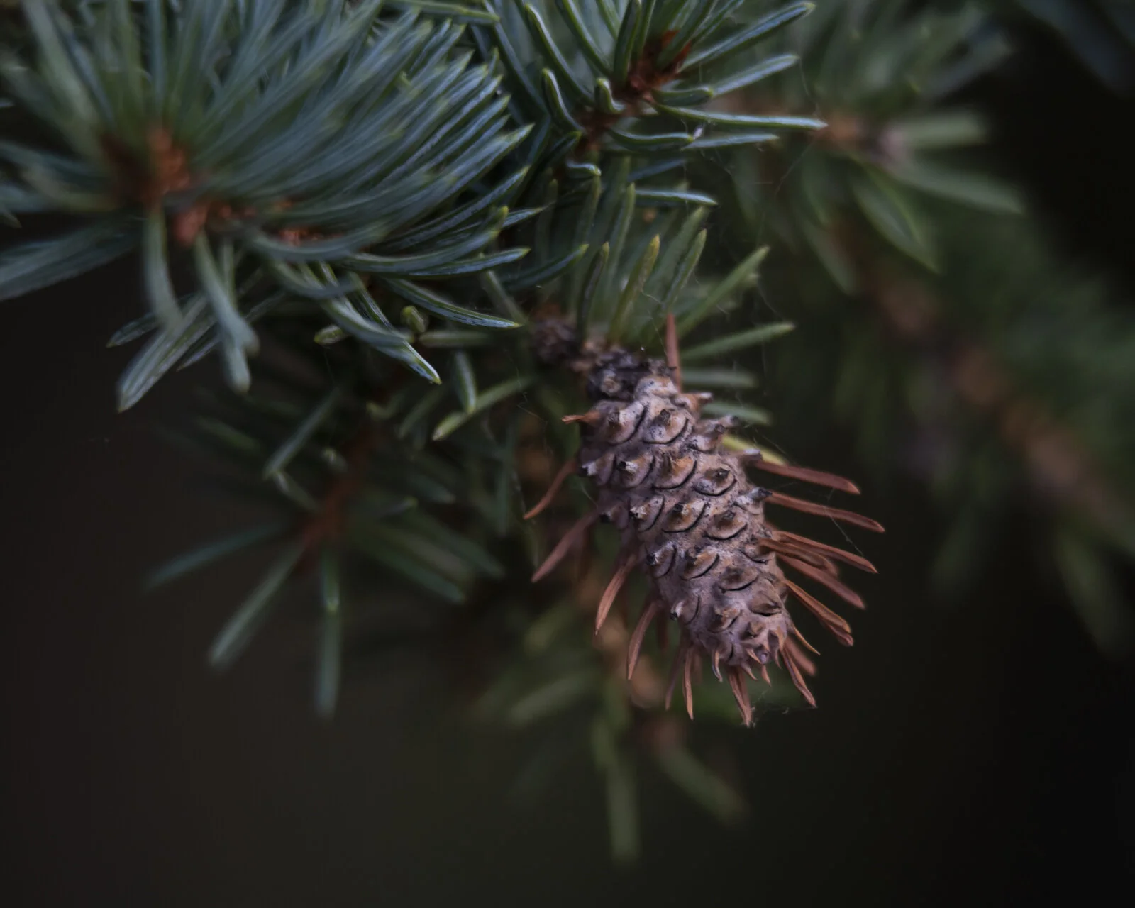 DSC_2073.jpg
