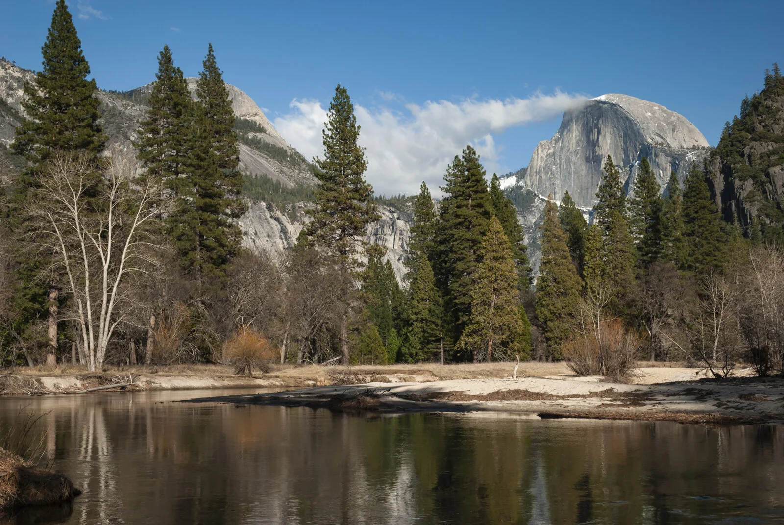DSC_0107.jpg