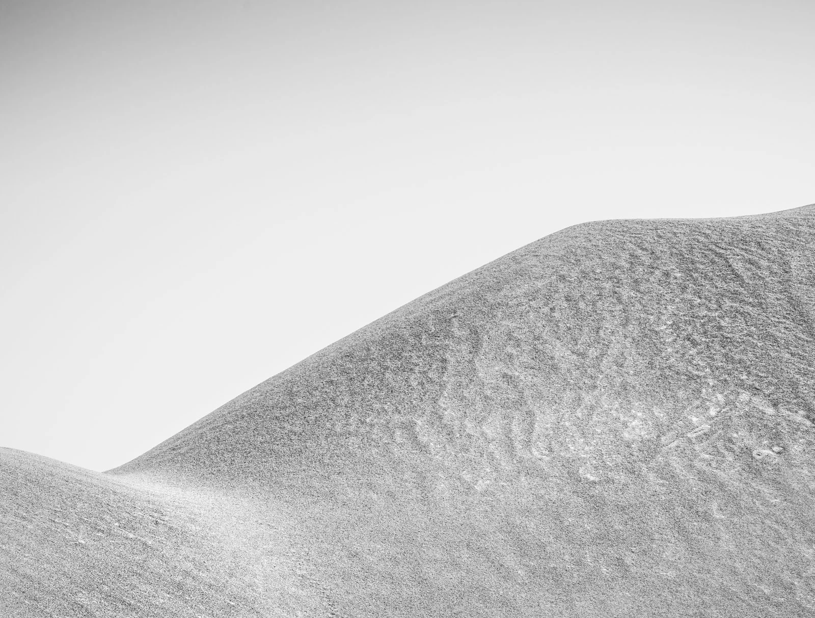 DSC_5606.jpg