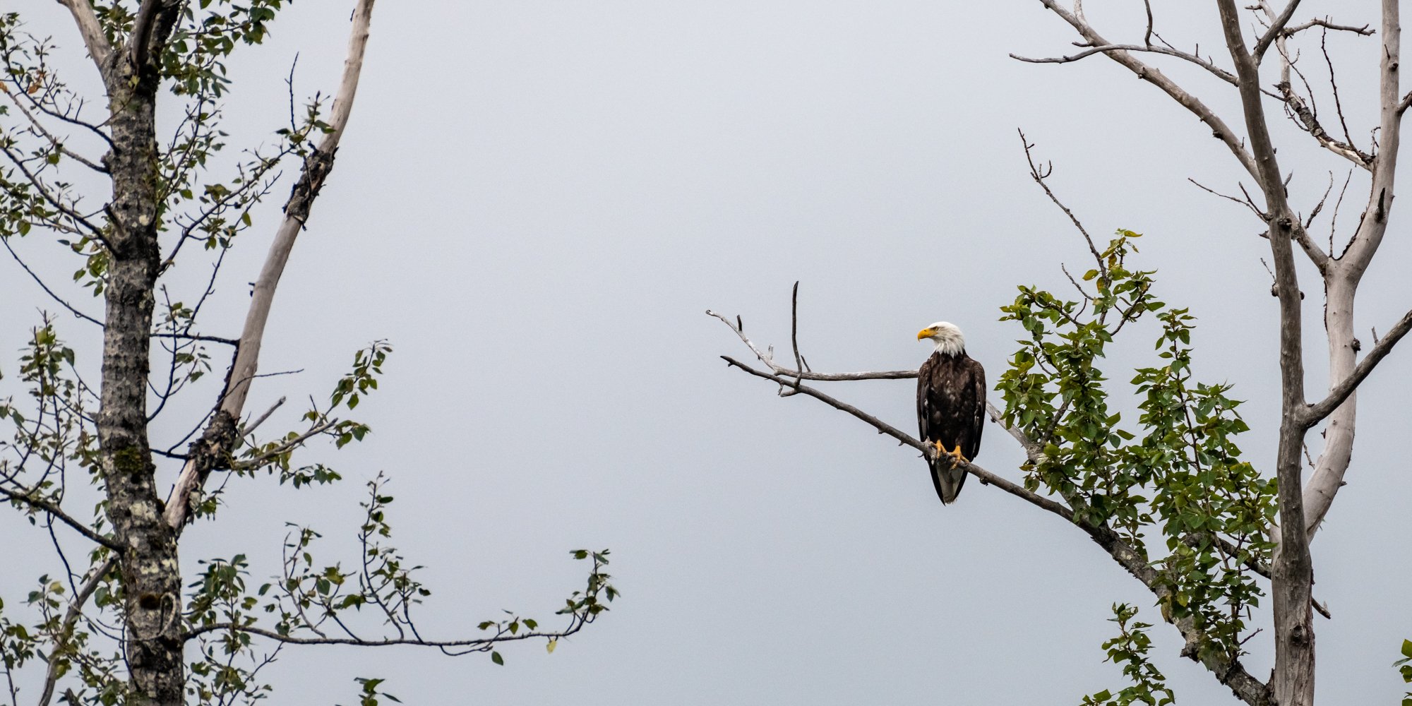 20250819TallGrassDSC_3230.jpg