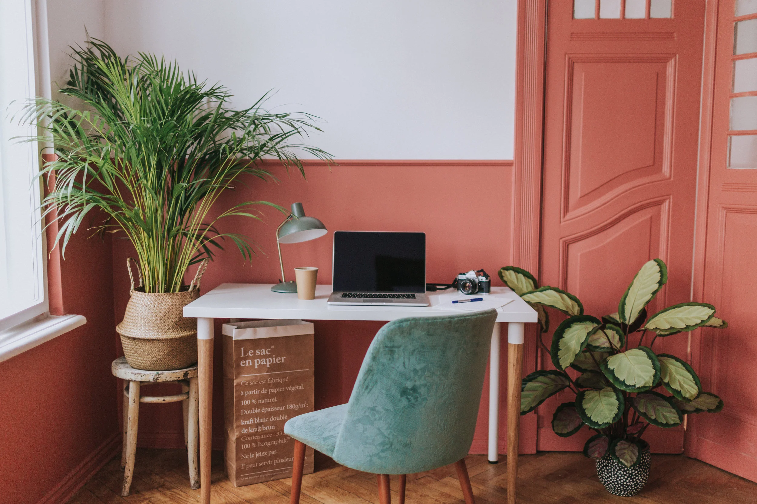IMG_2734.jpg