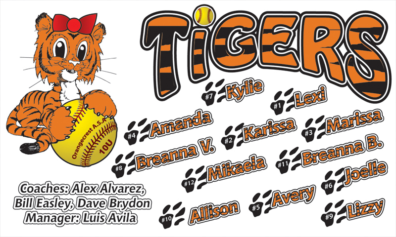 little Tigers team banner.jpg