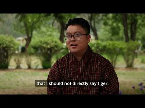 Cultural Importance of Wild Felids