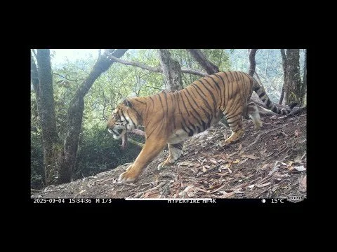 Bhutan Intro Video 2025