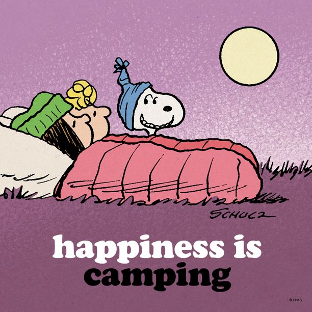 happiness camping.jpg