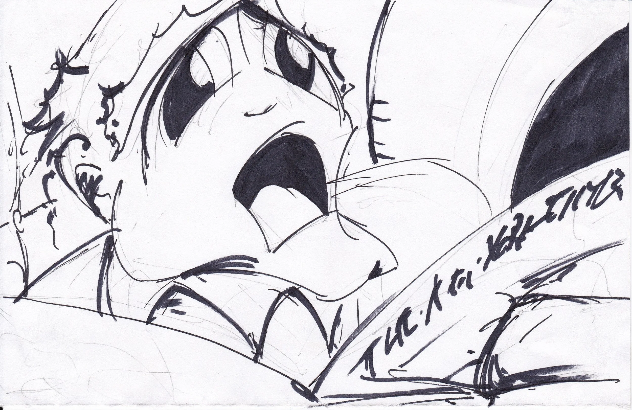 PARADOSIS_ DRAWING BY TREVOR JENKINS_ IIMG_20181218_0003.jpg