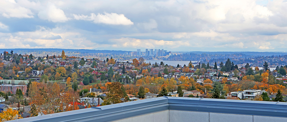 Amenities Rooftop Update.jpg