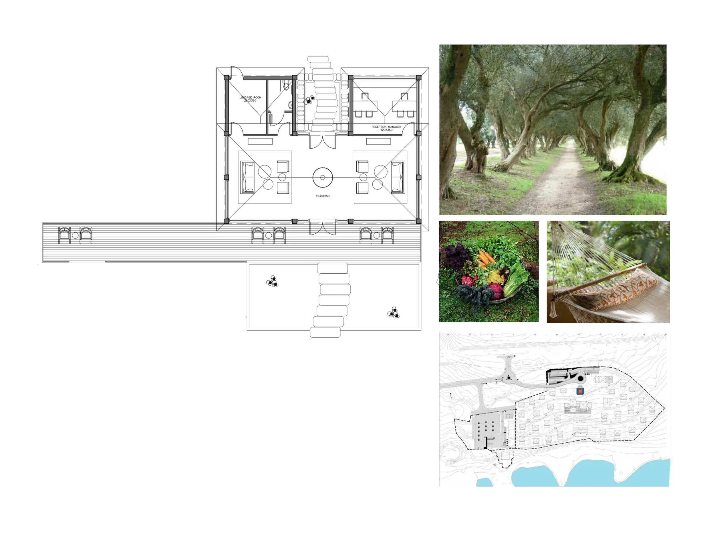 Amnun Bay Presentation_Page_04.jpg