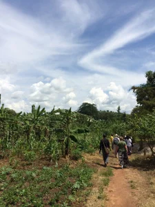 From Seed To Sustainability: Using Gardens To Promote Educational Outcomes And Community Development