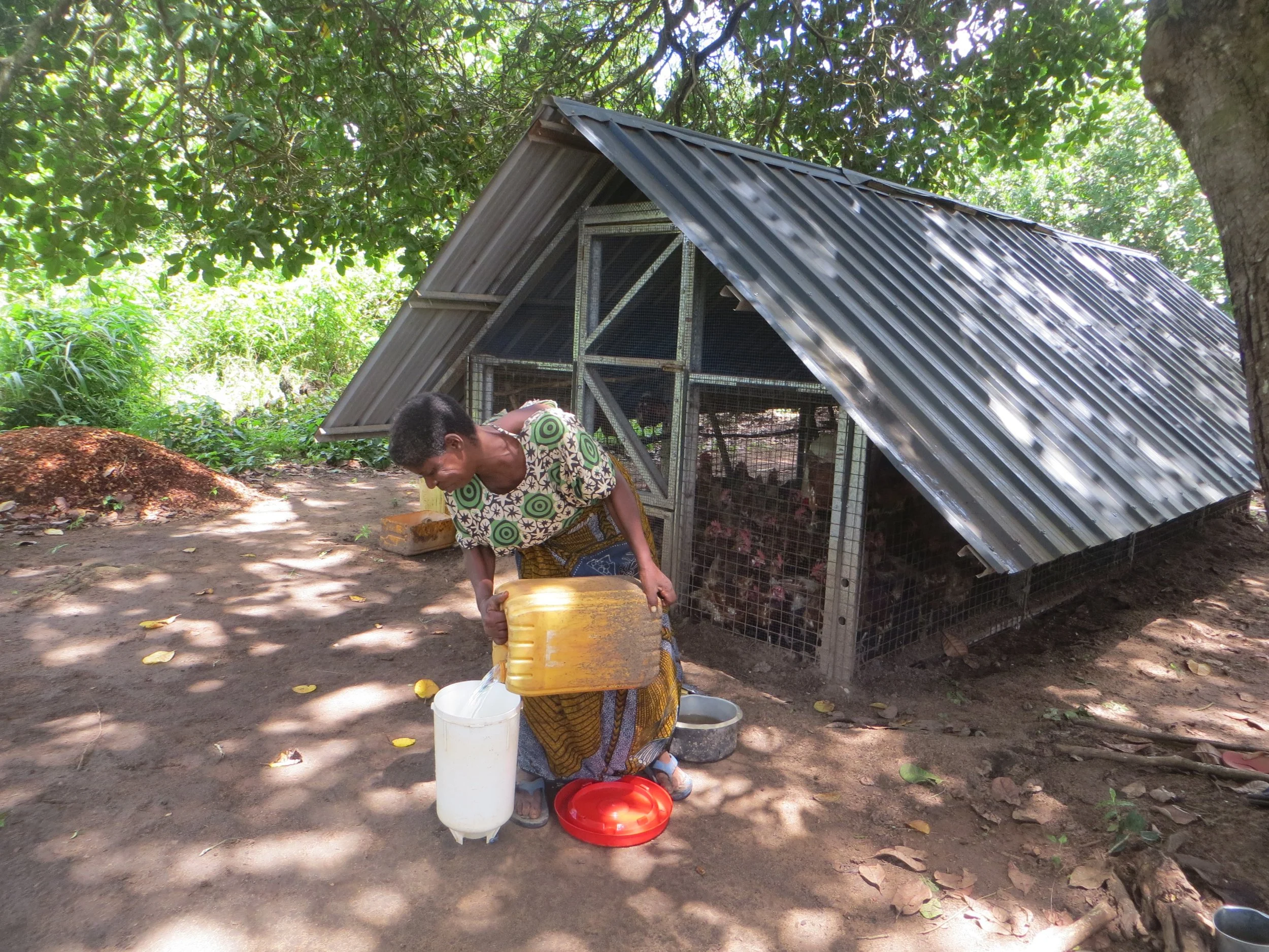 Fatuma’s Story: Laying the Foundation for a Resilient Future