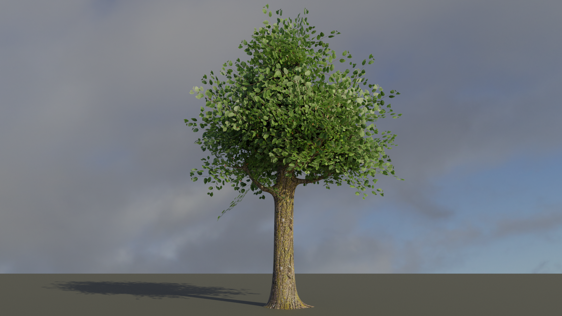 HappyLittleTree.png