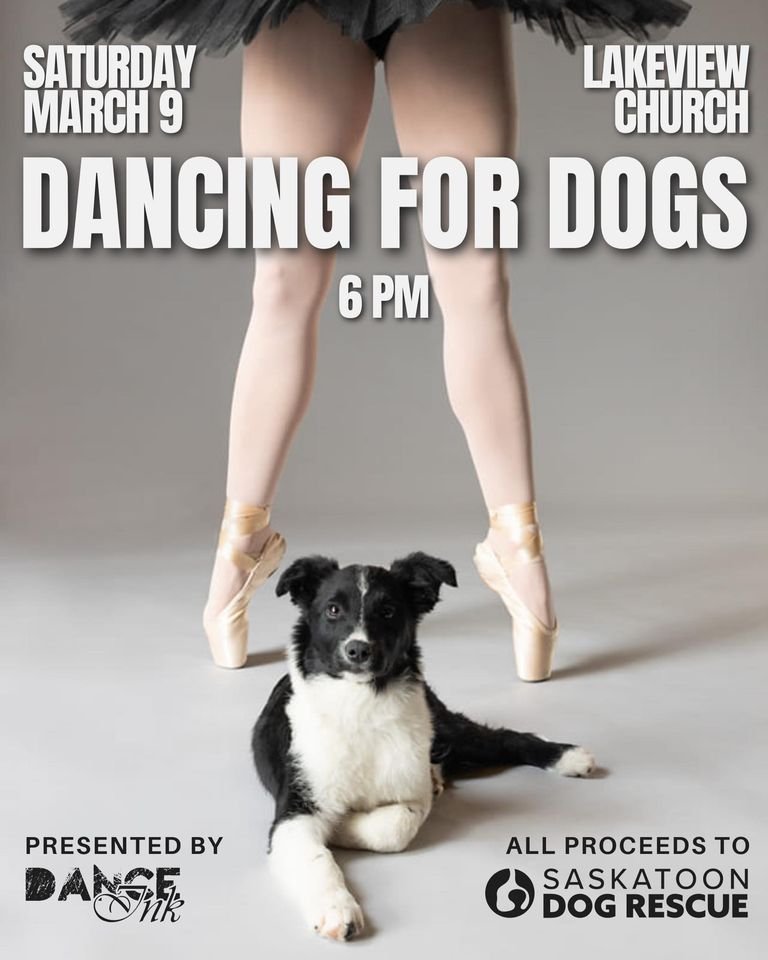 Dancing For Dogs `.jpg