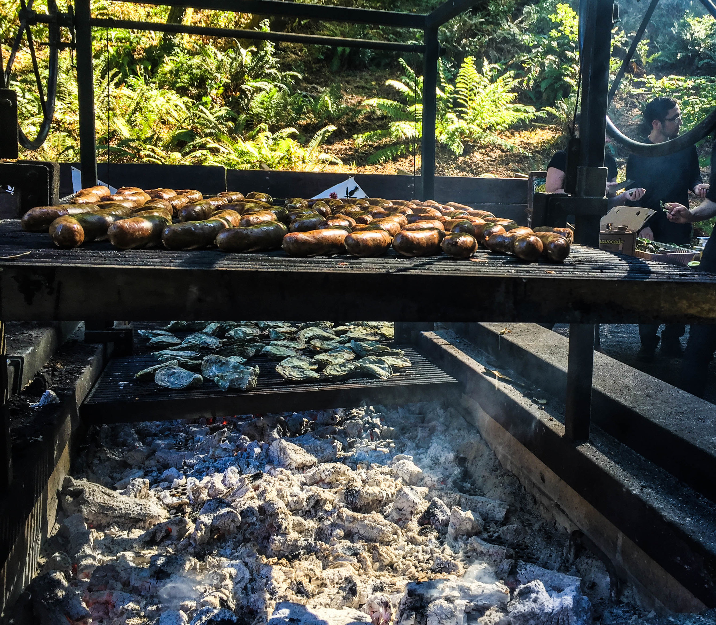 Grilled Sausages