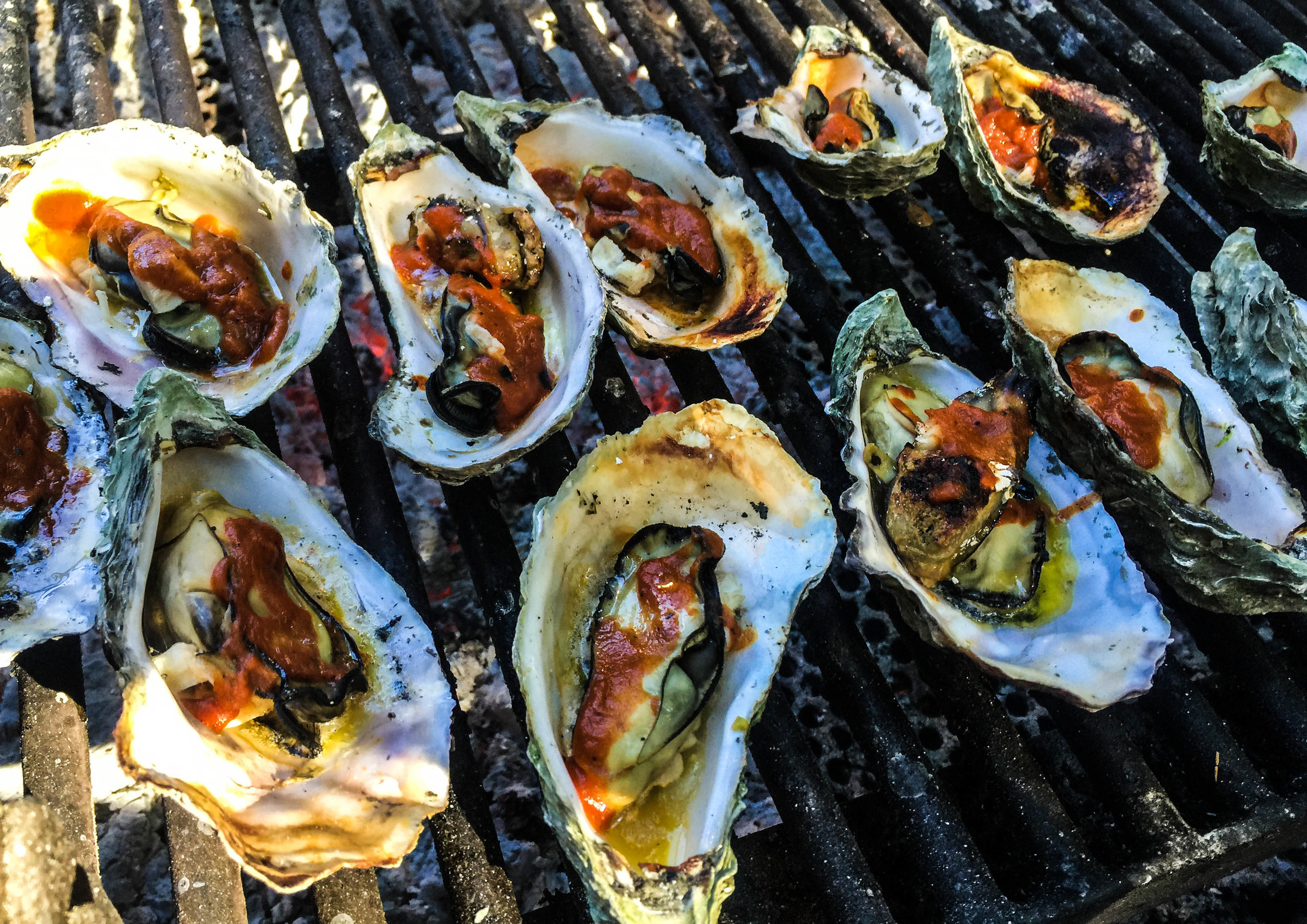 Oysters - Hog Island