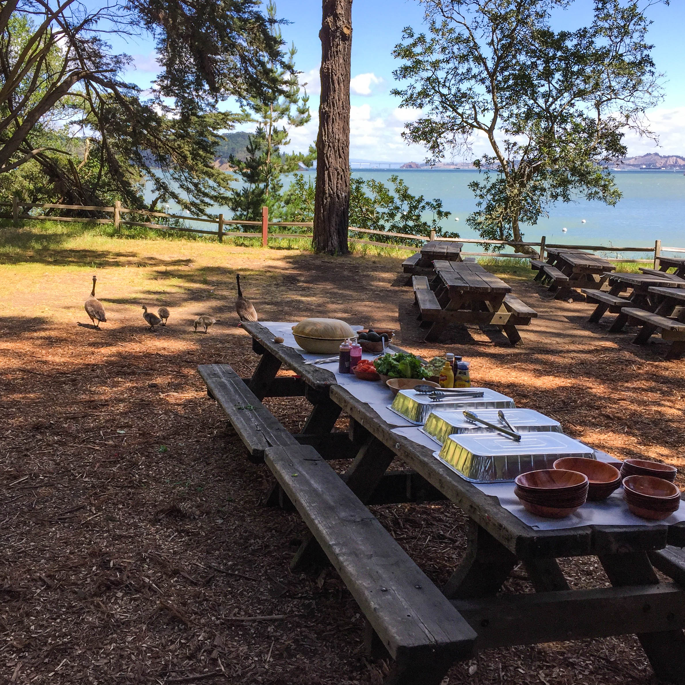 Angel Island BBQ