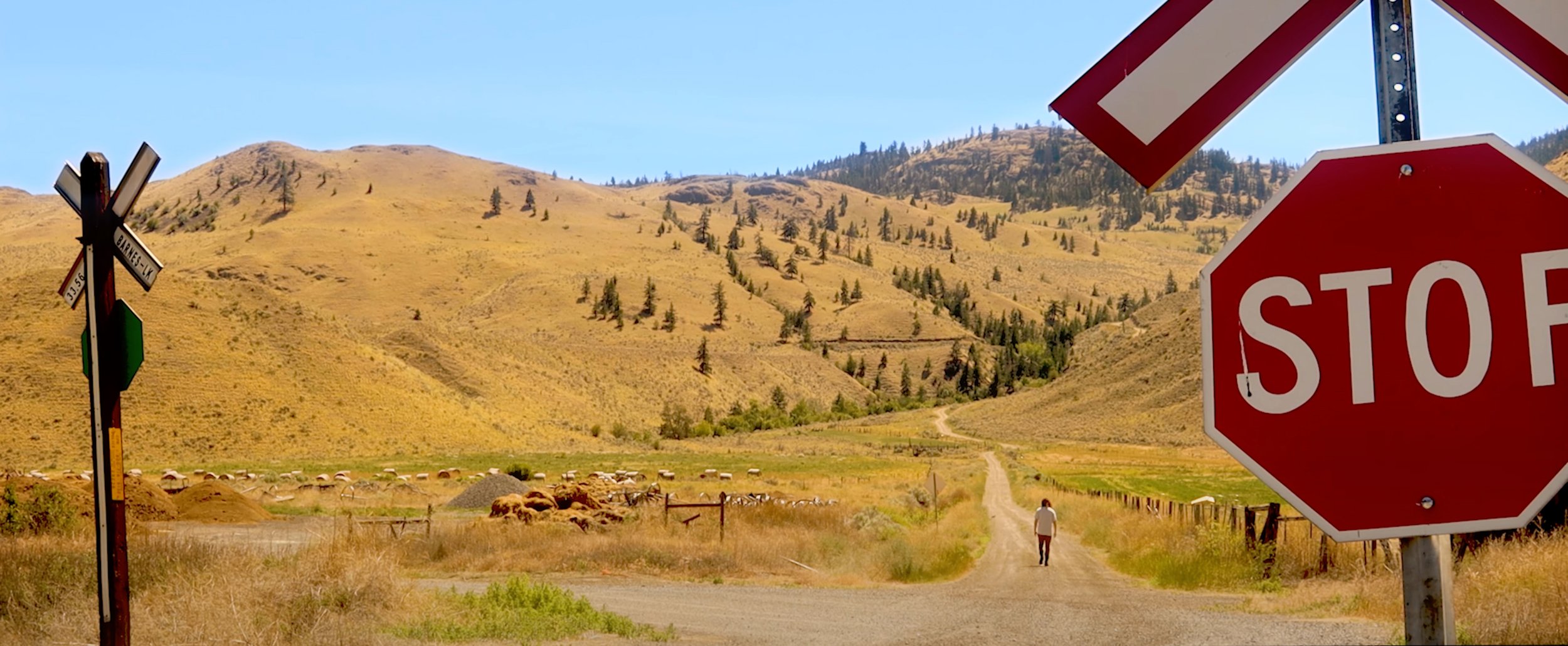 ANEMICS-Music-Video-Live or Die-Marie Catafesta-Desert-Okanagan Valley.jpg