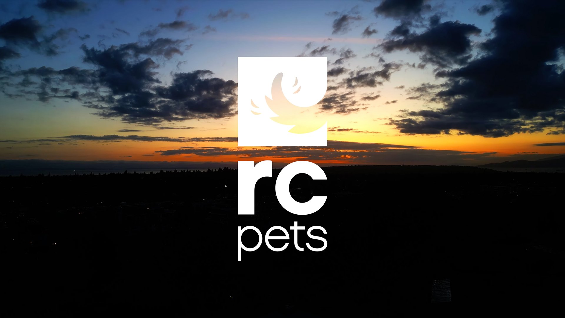 RC-Pets-Marie-Catafesta-Vancouver-Videographer.jpg