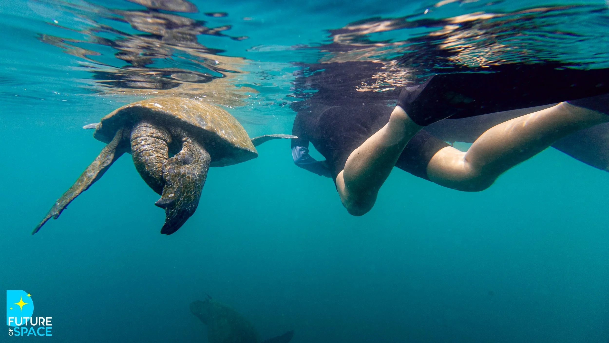 FoSGalapagos_Nov 3 2025_MarieCatafestaPhoto-0009.jpg