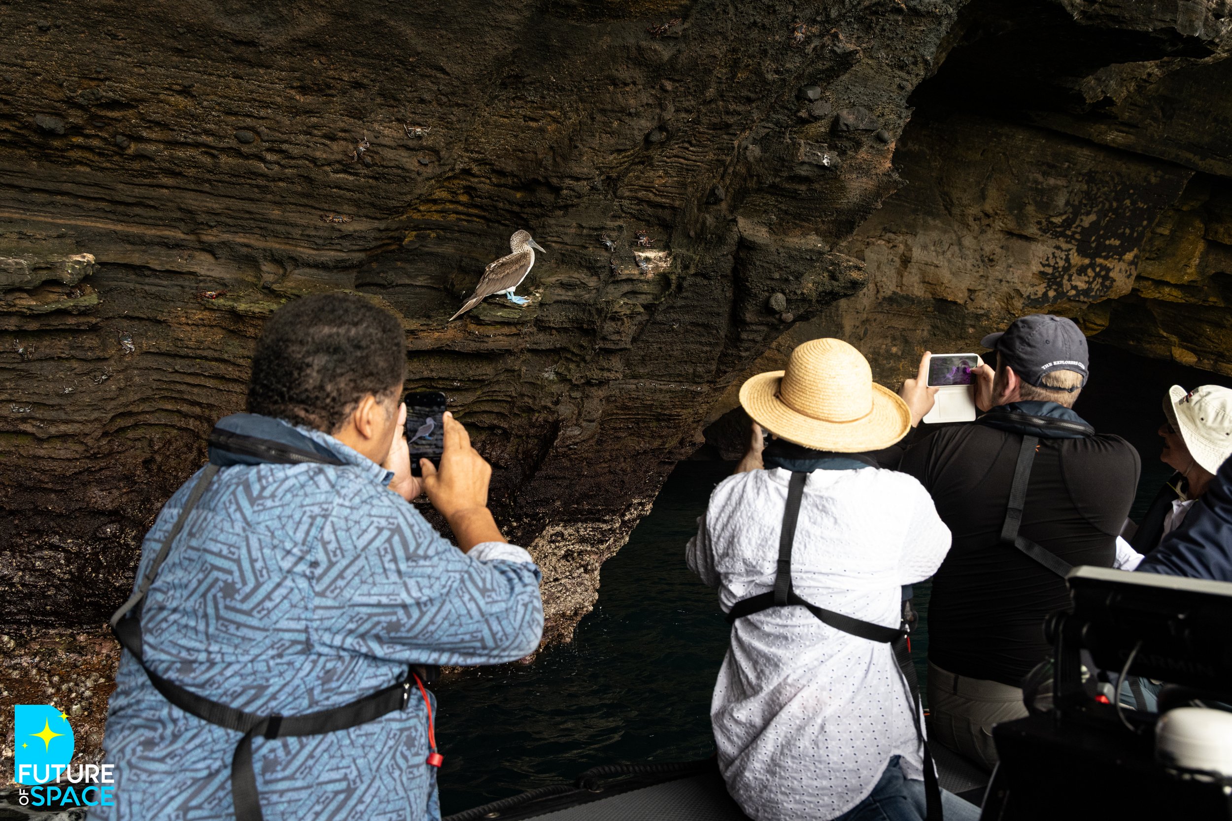 FoSGalapagos_Nov 3 2025_MarieCatafestaPhoto-5784.jpg