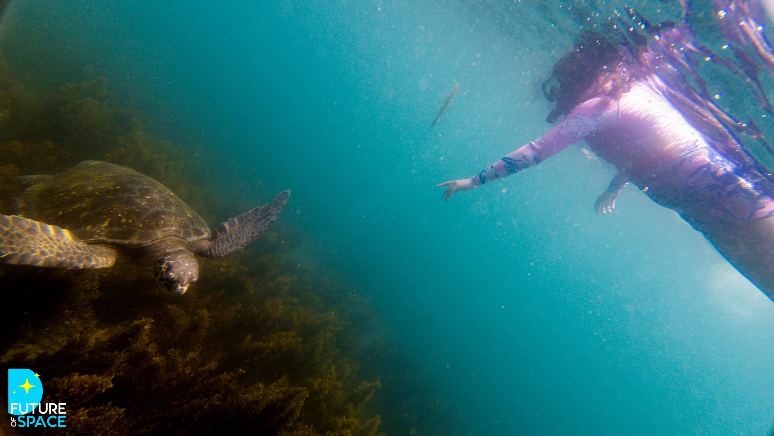 FoSGalapagos_Nov 4 2025_MarieCatafestaPhoto-0001.jpg