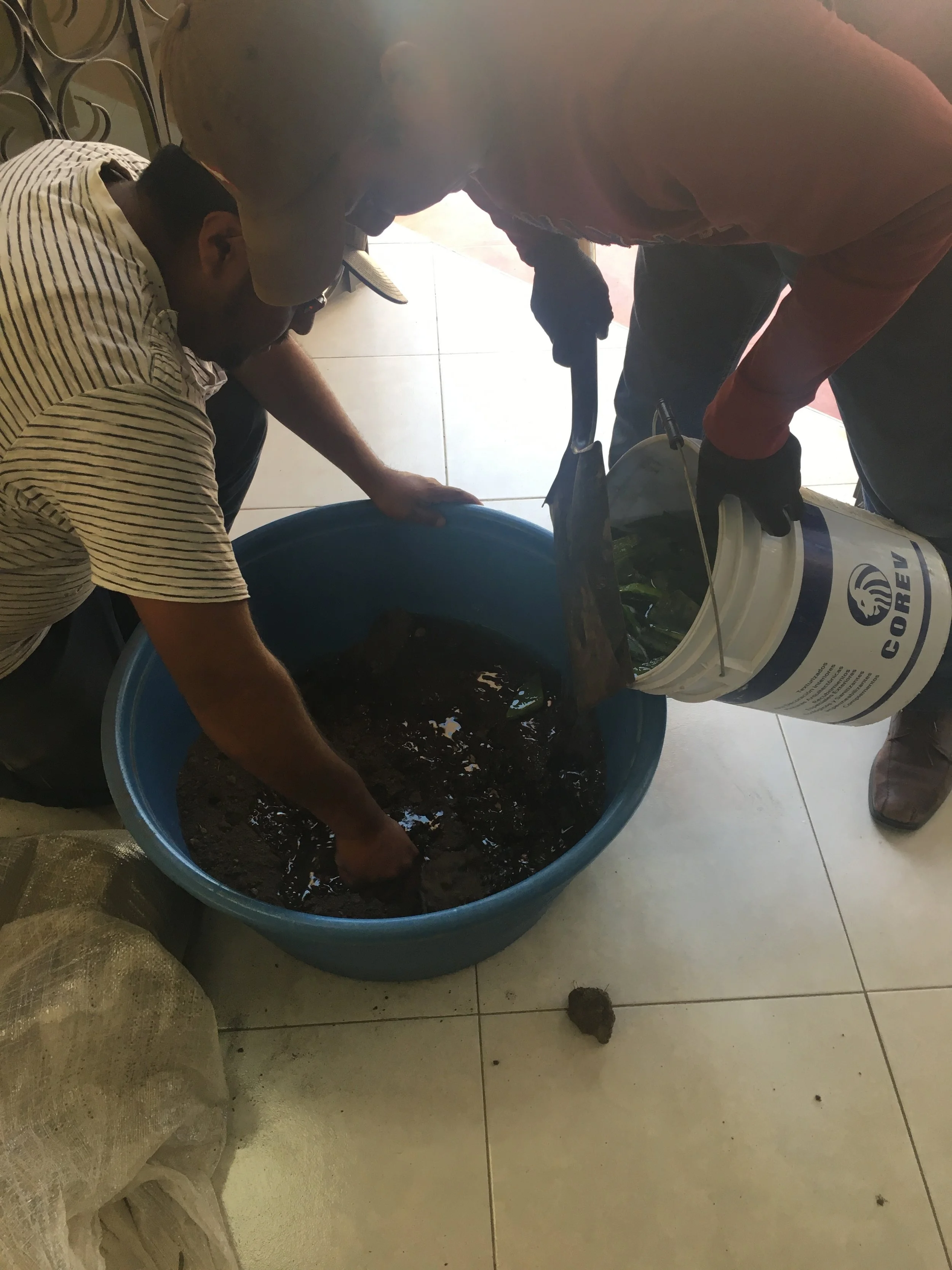 Joel and Isidro mix dirt with water and cactus sap. This mimics a technique that was used in the past and makes a durable (concrete-like) construction material.