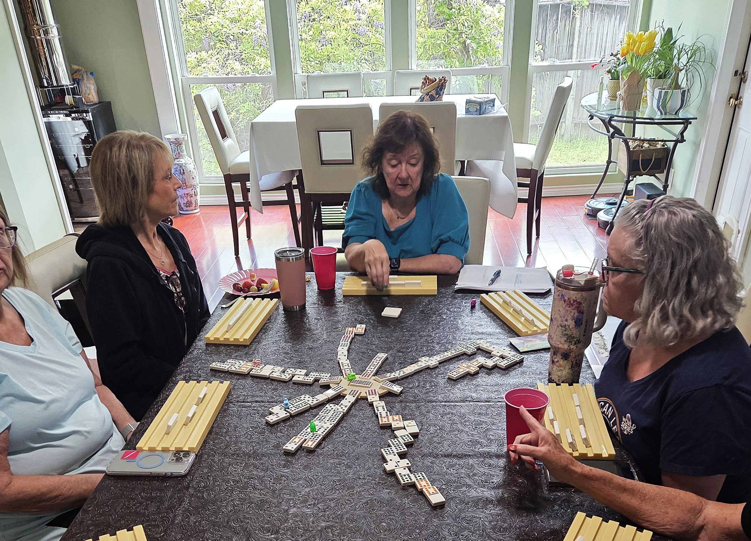 NNGH Mexican Train Mar2026.jpg