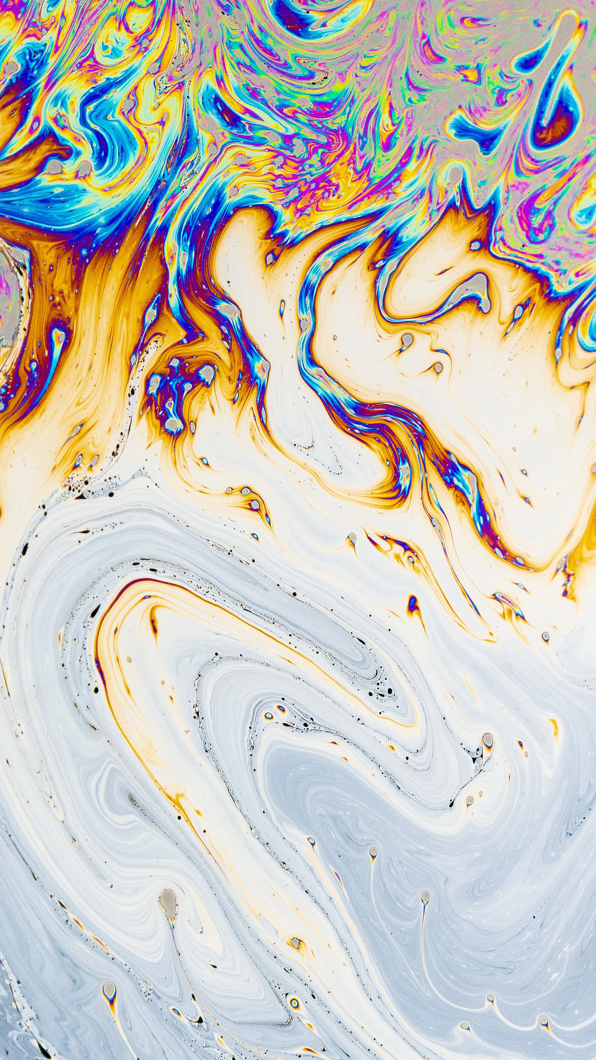 AOSDAC 19 – Cleaning and Hygiene Conference Sydney