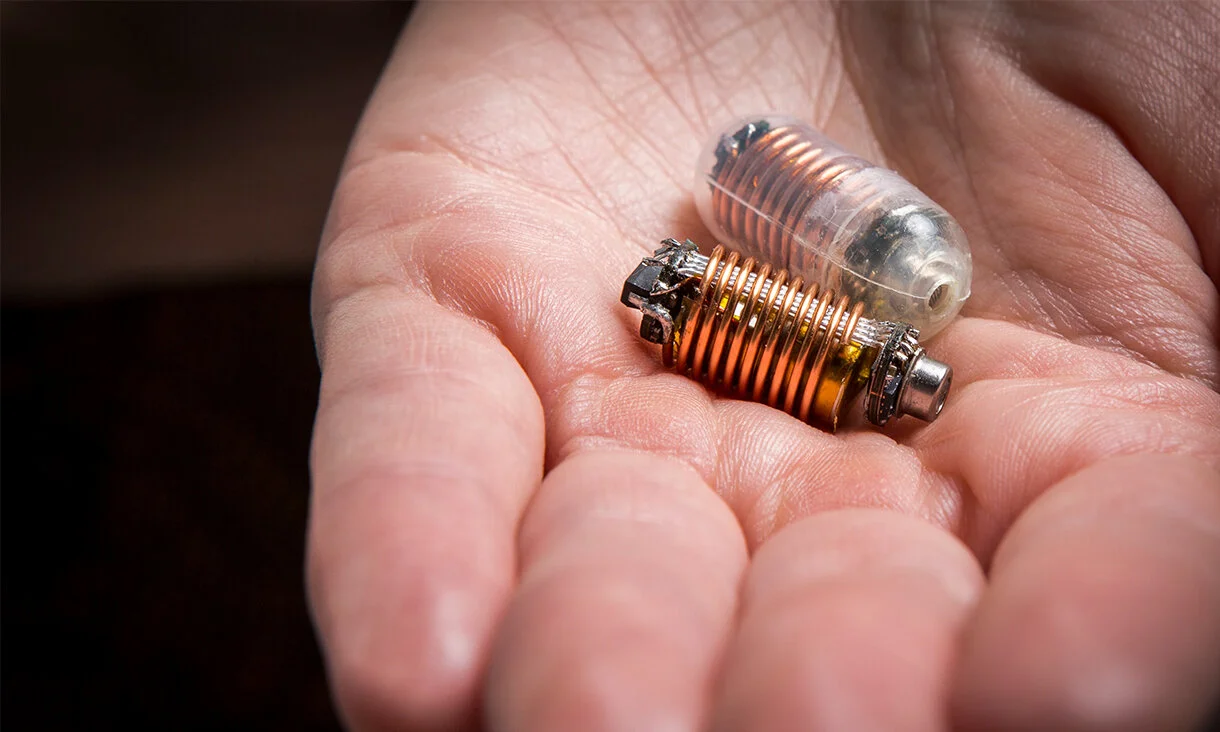 Image courtesy of Peter Clarke/ RMIT University.