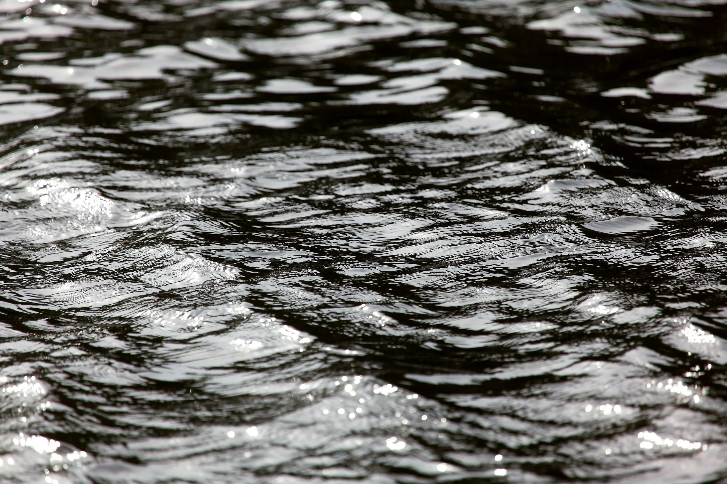 Water on the Horizon Forum