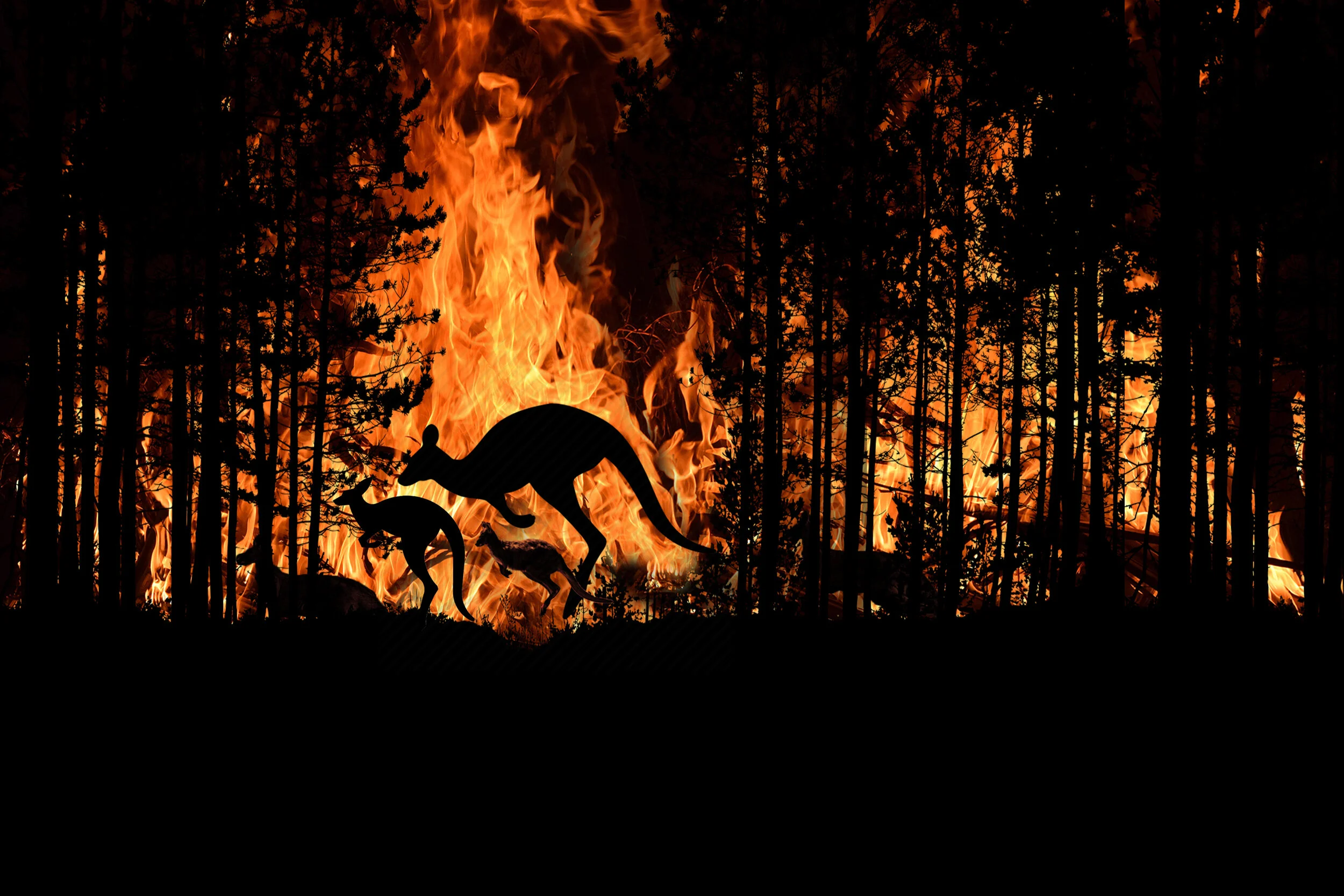 NSSN Bushfire Smart Sensing Workshop