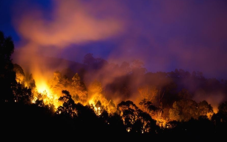Bushfire Research Pitchfest — NSSN
